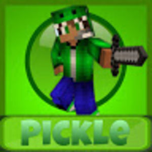 Meet your Posher, Picklegamez